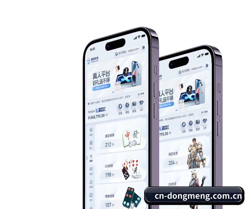 国际化进程